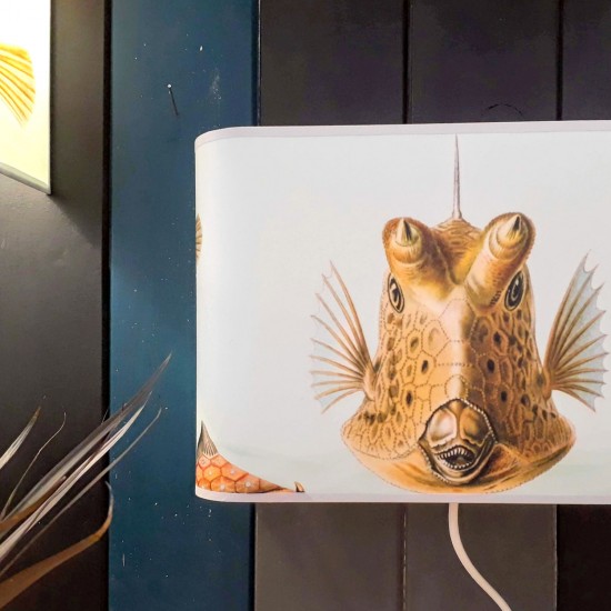 Applique ou lampe  de chevet murale cowfish