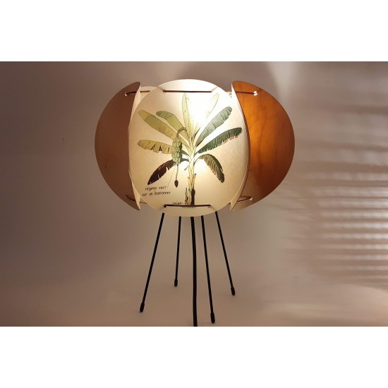 LAMPE COMPLETE BOIS BANANIER