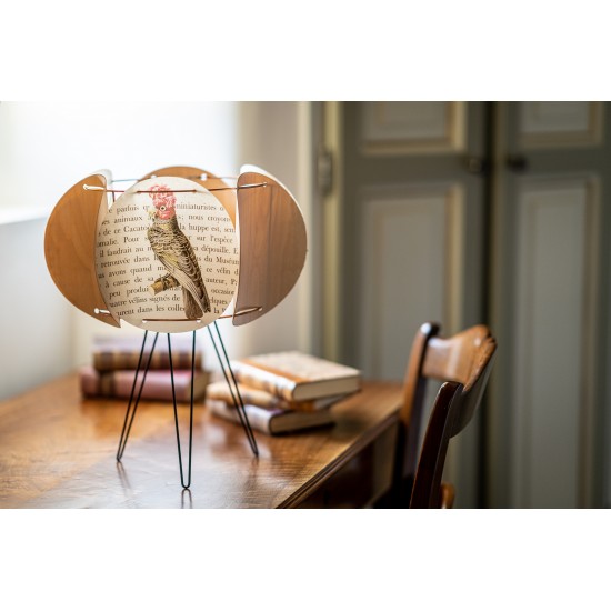 ABAT JOUR OU SUSPENSION...