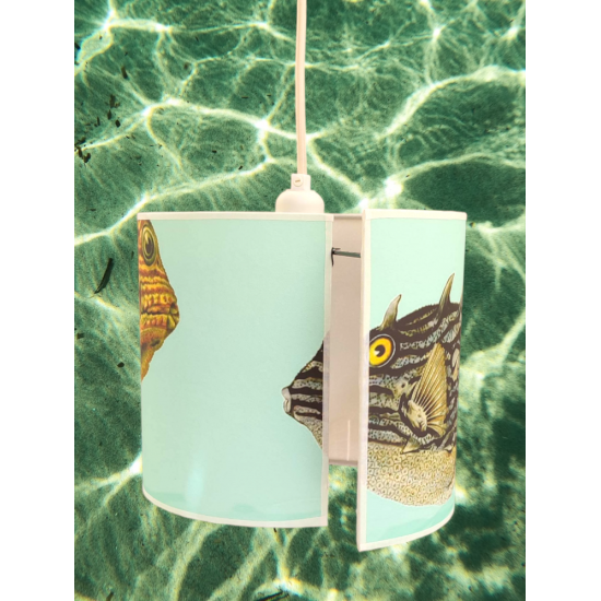 PETITE SUSPENSION FISH ARACANA