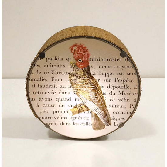 APPLIQUE RONDE - LE CACATOES