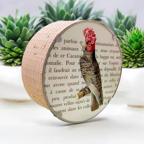 APPLIQUE RONDE - LE CACATOES