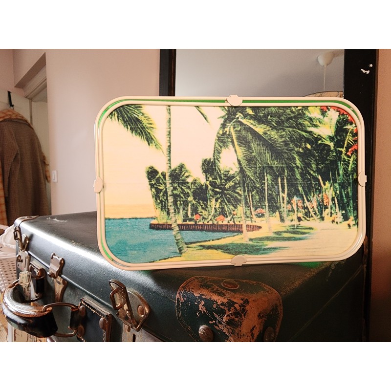 APPLIQUE MURALE  DANS LE PARC DE MIAMI EN FLORIDE