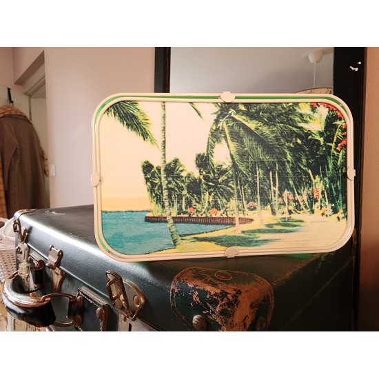 APPLIQUE MURALE  DANS LE PARC DE MIAMI EN FLORIDE