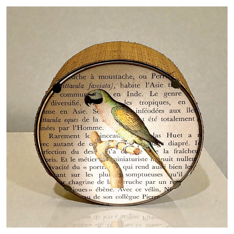 Applique MURALE RONDE LES OISEAUX LA PERRUCHE