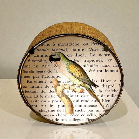 Applique MURALE RONDE LES OISEAUX LA PERRUCHE