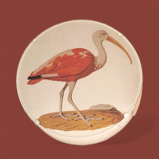 Applique OISEAU RONDE IBIS