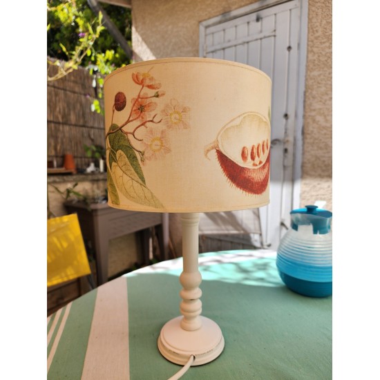 LAMPE le fruit du rocouyer BOTANIQUE le roucou