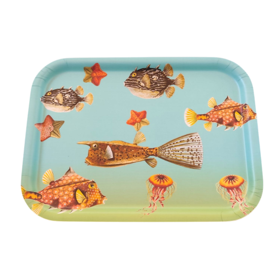 PLATEAU FISH MEDIUM BLEU