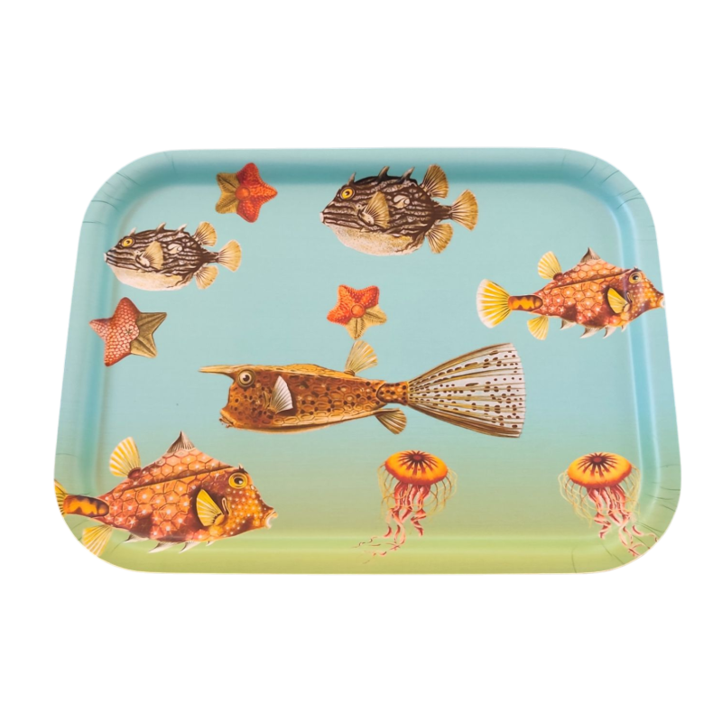 PLATEAU FISH MEDIUM BLEU
