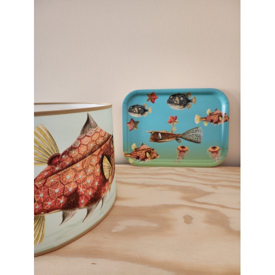PLATEAU FISH MEDIUM BLEU