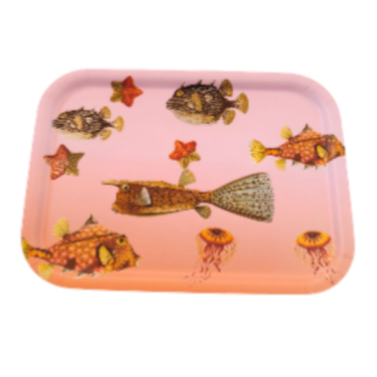 PLATEAU FISH MEDIUM ROSE ORANGE