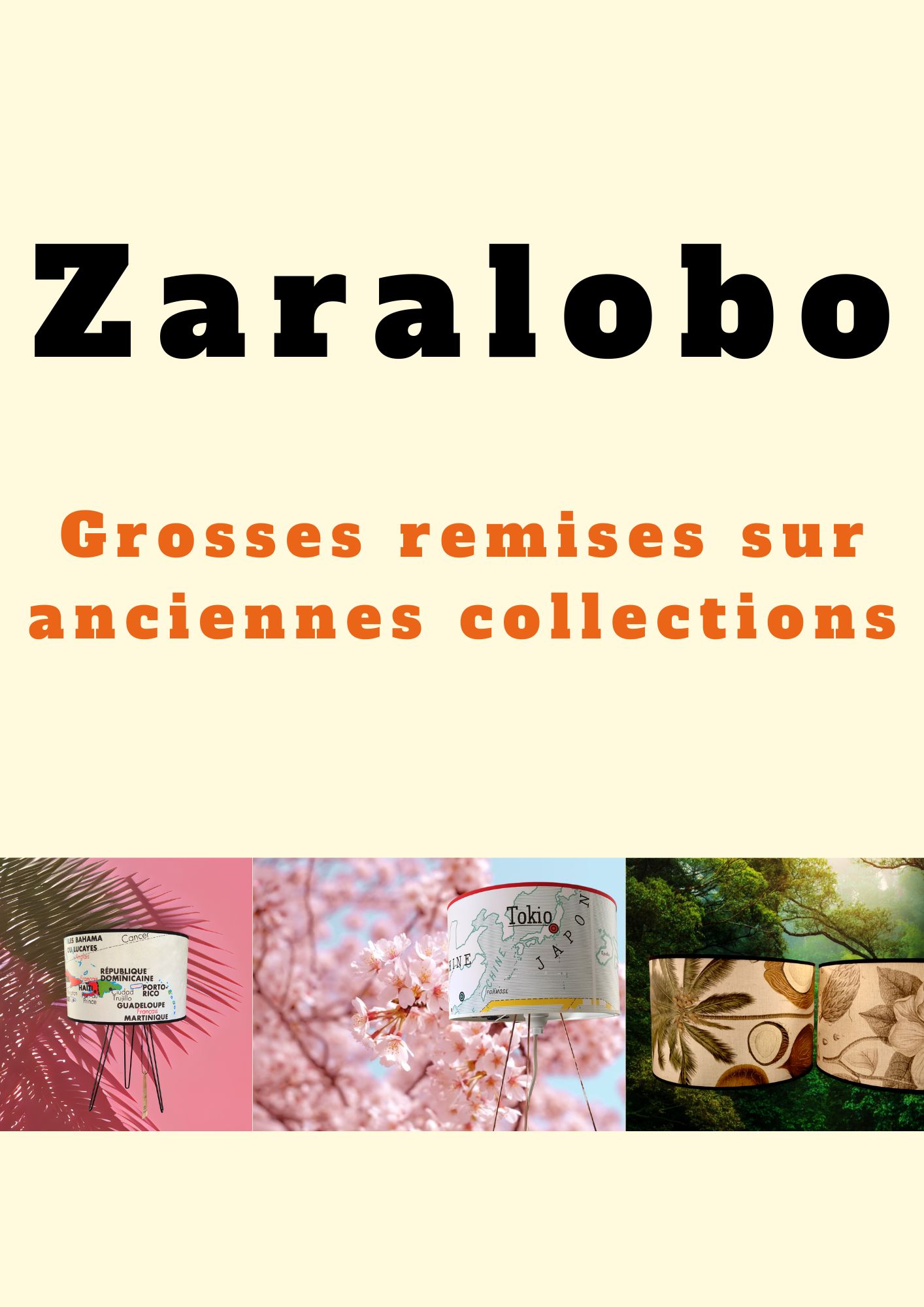 zaralobo liquidation ancienne collection_1.jpg